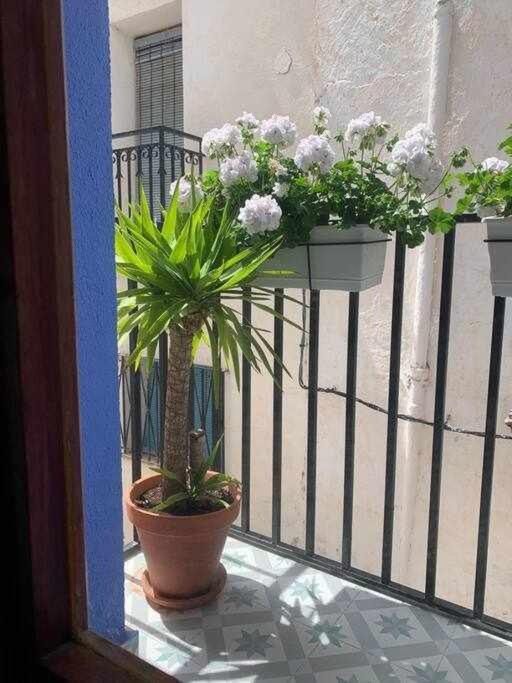 Casa Ziba Casco Antiguo Wifiaa Apartment Peñíscola Екстериор снимка
